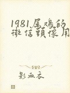 1981属鸡的微信头像用什么好