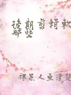 后期剪辑软件有哪些