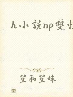 h小说np双性