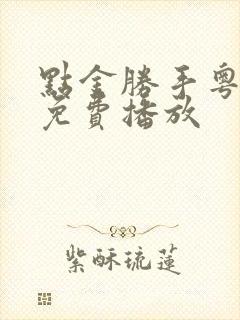 点金胜手粤语版免费播放