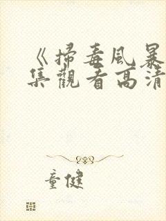 《扫毒风暴》全集观看高清