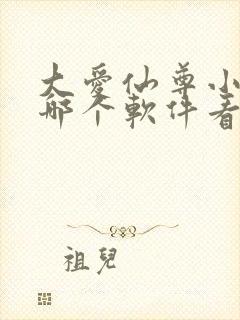 大爱仙尊小说在哪个软件看