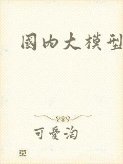 国内大模型平台