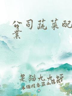 公司蔬菜配送企业