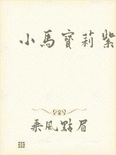 小马宝莉紫悦卡