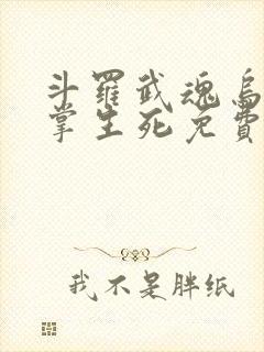 斗罗武魂乌鸦执掌生死免费阅读