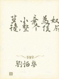 莫小弃为奴三年后,整个侯府跪求我原谅