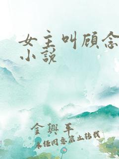 女主叫顾念夏的小说