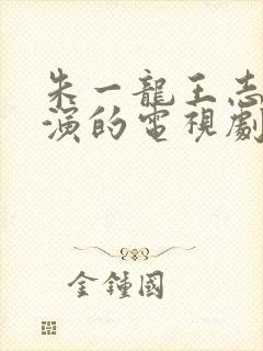 朱一龙王志文主演的电视剧