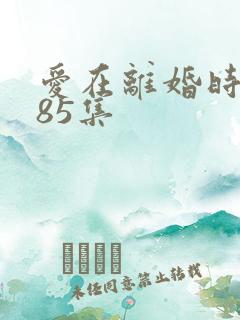 爱在离婚时短剧85集