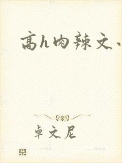 高h肉辣文小说
