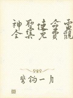 神圣使命电视剧全集免费观看手机版