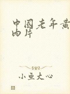 中国老年黄色1内片