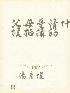 父母爱情什么时候拍摄的