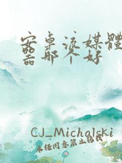 安卓流媒体播放器哪个好