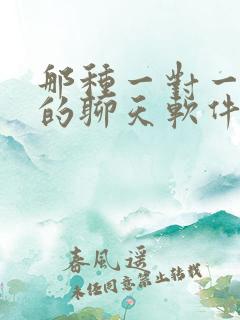 那种一对一视频的聊天软件