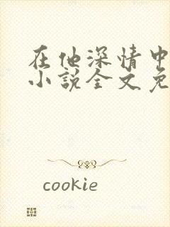 在他深情中陨落小说全文免费阅读