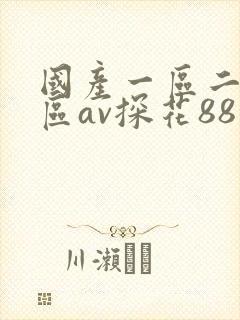 国产一区二区三区av探花88