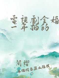 电视剧金婚是哪一年拍的