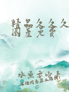 精品久久久久久国产免费