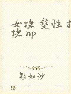 女攻 双性 总攻 np