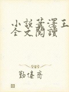 小说萧泽王雪凤全文阅读