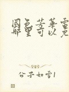 国色芳华电视剧哪里可以免费观看