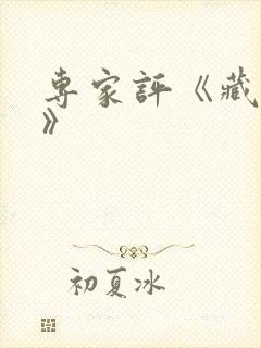 专家评《藏海传》