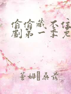 偷偷藏不住电视剧第一季免费观看