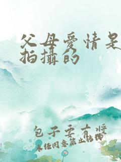 父母爱情是哪年拍摄的