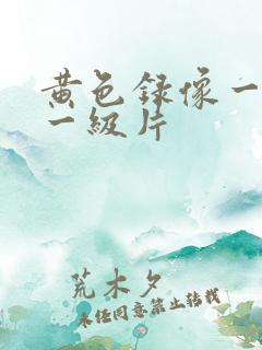 黄色录像一级片一级片