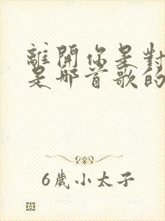 离开你是对是错是哪首歌的词