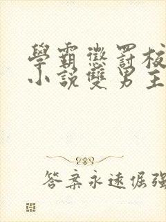 学霸惩罚校霸的小说双男主推荐