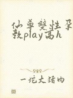 仙尊双性孕夫调教play高h