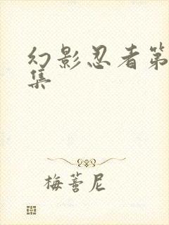 幻影忍者第10集