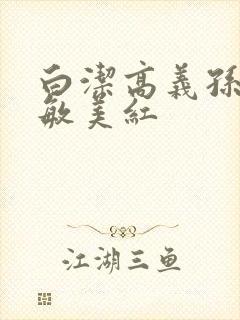 白洁高义孙倩张敏美红