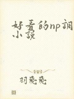 好看的np调教小说