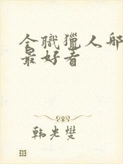 全职猎人哪一篇最好看