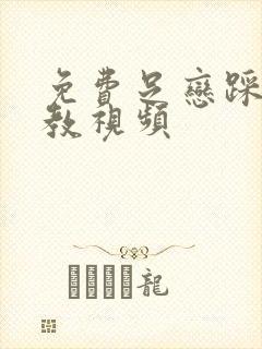 免费足恋踩踏调教视频