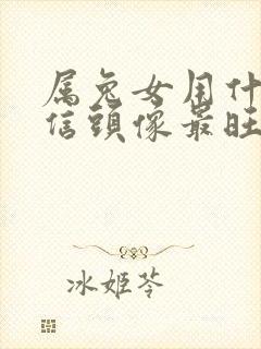 属兔女用什么微信头像最旺财