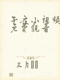 午夜小视频在线免费观看