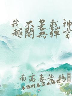 我不是戏神新笔趣阁无弹窗