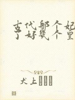 古代那个妃子嫁了好几个皇上