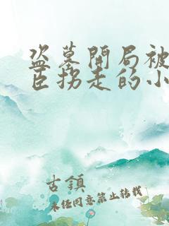 盗墓开局被解雨臣拐走的小说