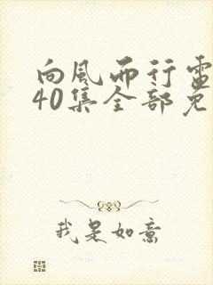 向风而行电视剧40集全部免费观看高清