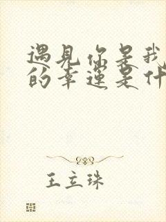 遇见你是我一生的幸运是什么歌