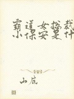 霸道女总裁爱上小保安是什么电视剧