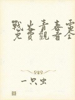 战火青春电视剧免费观看全集高清