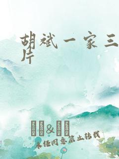 胡斌一家三口照片