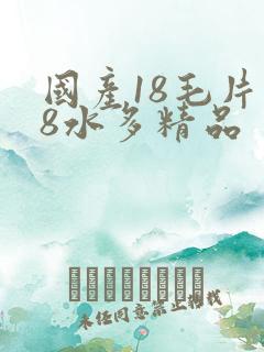 国产18毛片18水多精品